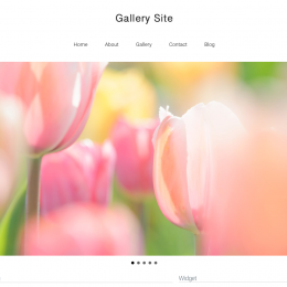 Gallery Site(4系)